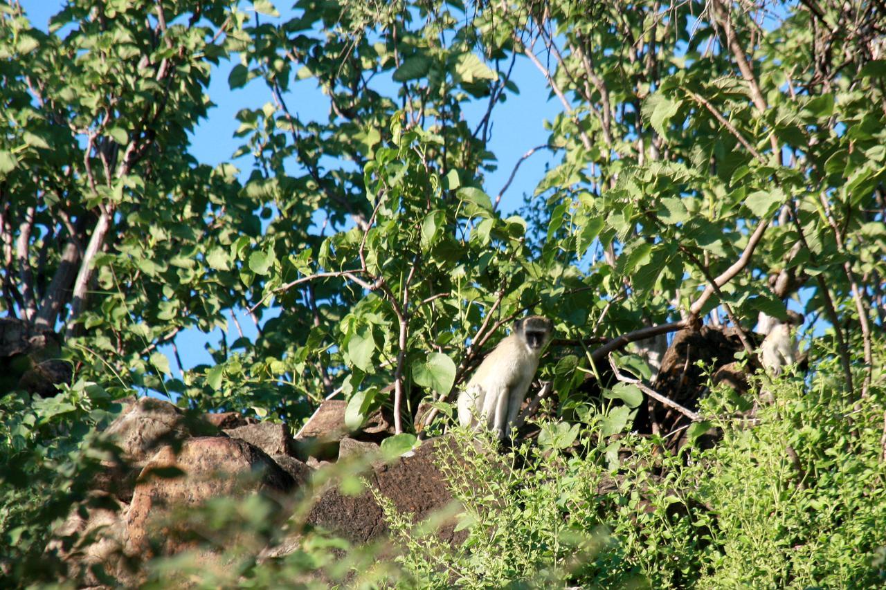 Ghaub Nature Reserve & Farm - One Namibia Grootfontein Exterior foto
